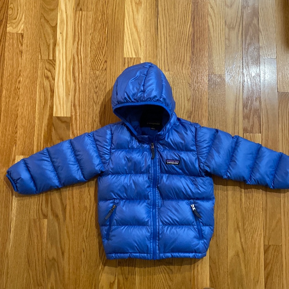 Size 4T Patagonia Hi-Loft Down Sweater Hoody